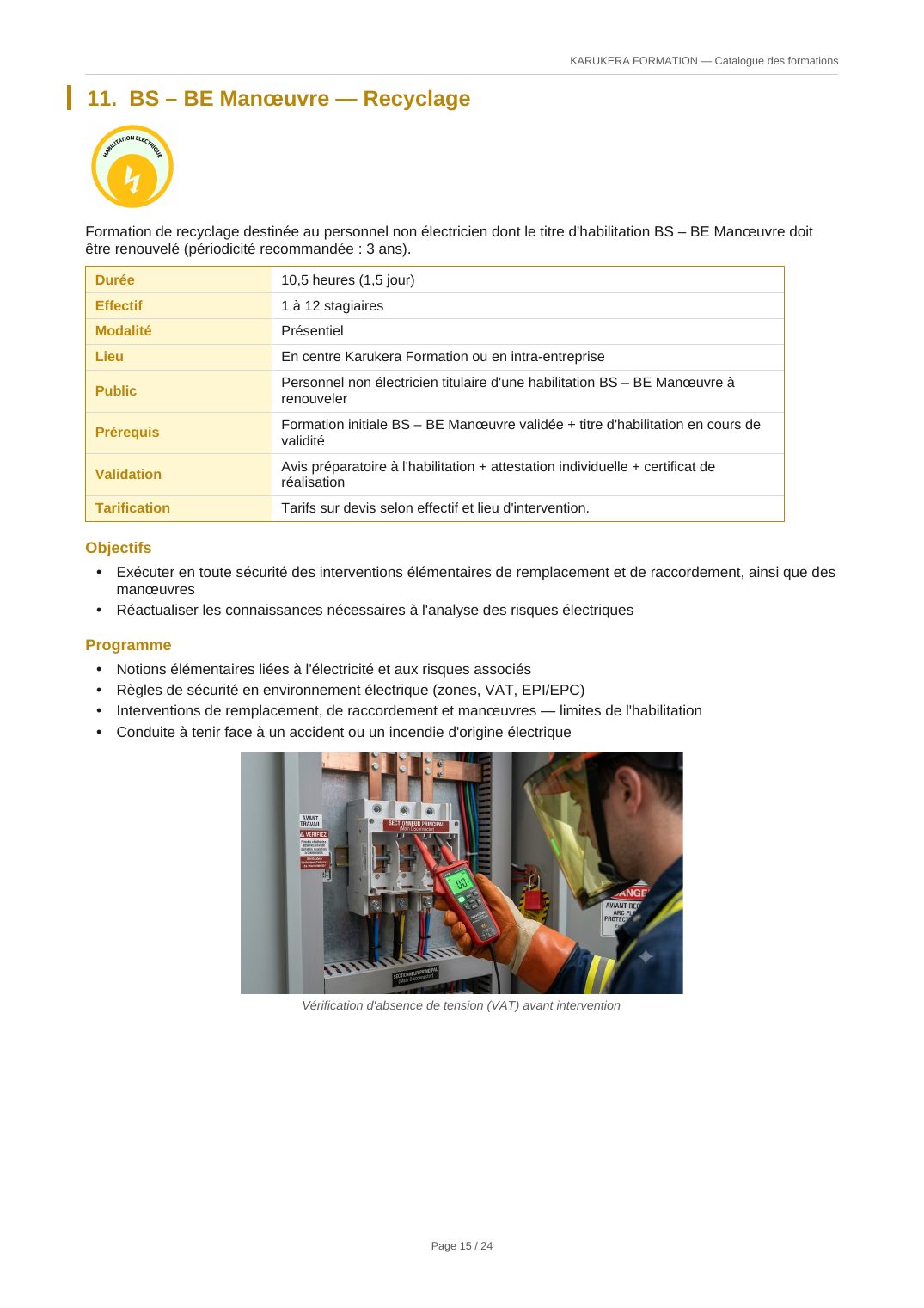 Fiche programme — BS – BE Manœuvre — Recyclage